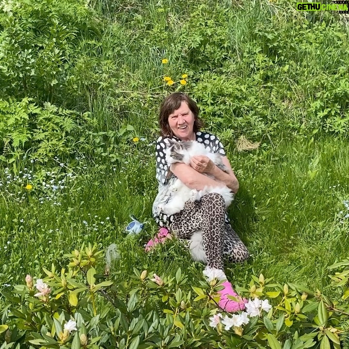 Erik Hagen - 4K Likes - Snefrid i full blomst 👍🐝🦊🦩🦅🌺