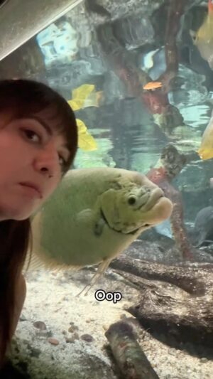 Erika Ishii Instagram - Yes please, The Ocean!!! I love aquariums!!!!