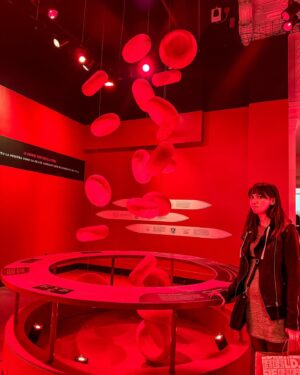 Erika Ishii Instagram - WIMDY! CITY! 

I want to live in the Field Museum.