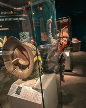 Erika Ishii Instagram - WIMDY! CITY! 

I want to live in the Field Museum.