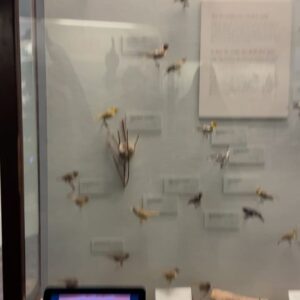 Erika Ishii Instagram - WIMDY! CITY! 

I want to live in the Field Museum.