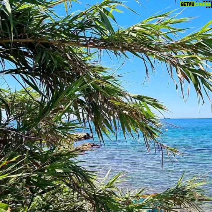 Erika Toa Russo - 9.5K Likes - Cuando el trabajo te lleva a descubrir nuevos spots⛱️ .. y las ganas de playita no te sueltan!!🥵
.
.
#Toa #verano2024 #rodajes #sets #Civitavecchia #calor #estate2024 #selfies