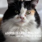 Érika Villalobos