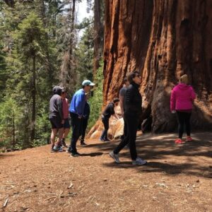 Erin Douglass Instagram - Fun with nature 🤗