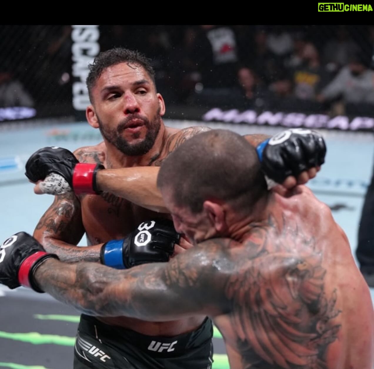 Eryk Anders - 207 Likes - ATHLETE OF THE DAY IS @erykanders
#mma #mmafighter #mmalifestyle #ufc #ufc242 #mmaworld #mmafighters #mmawarrior #cagefighting #cagefree #cagefight #cagewarriors #ufcfighter #mma👊 #mmagym