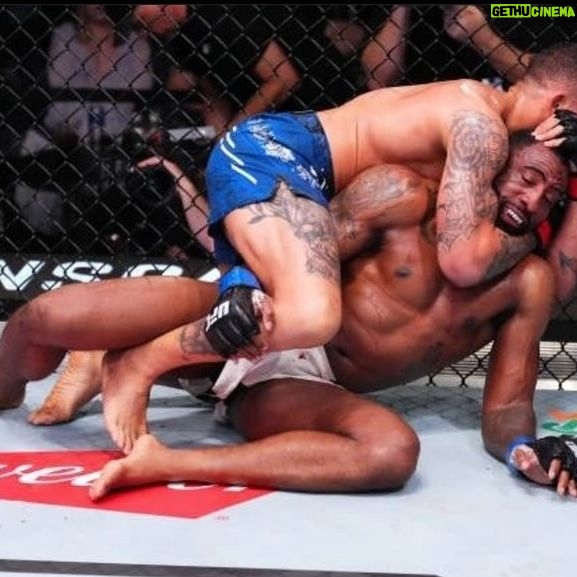 Eryk Anders - 1.5K Likes - Ya boi nurNEGROmedov
#yaboi #wrestling