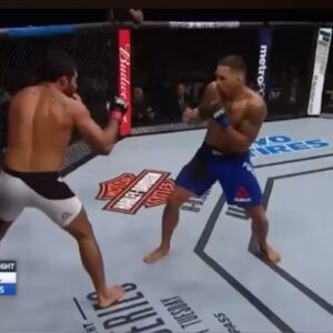 Eryk Anders Instagram - 7 years ago I smoked a toad for the first time. Wouldn’t be the last. 💨 🐸 
Still goin strong 

#yaboi #bufo #3more