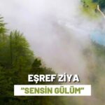 Eşref Ziya Terzi