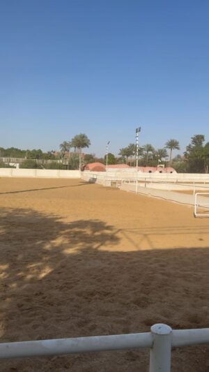 Essam Elsakka Instagram - ❤️🐎❤️