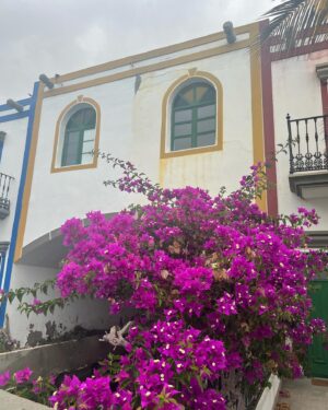 Eva Soriano Instagram - LA MOGANVILLA🌸🌼🌸