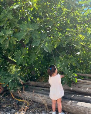 Fabio Grangeon Instagram - A journey to Provence with my little one 🌞🍅🌿