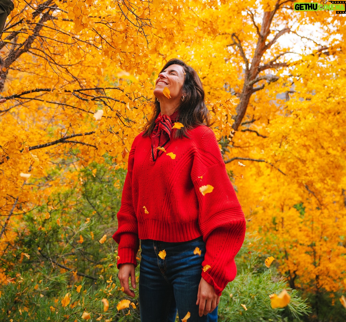 Felipe Braun - 5.7K Likes - Hoy a las 15.30 no se pierdan este hermoso capítulo de Sobre la Tierra con mi gran amiga @pazbascuactriz 🍂
Por las pantallas de @canal_13c 🌿
Este viaje lo realizamos junto a @lapesebrera_delmaule y recorrimos lugares que nos impresionaron de la Región del Maule. Visitamos el Parque Tricahue, Valle de los Cóndores, Altos de Lircay…
No se lo pierdan!! Hoy 15.30 por 13C!!!
📸 @iamgessyg
.
.
.
#sobrelatierra #felipebraun #maule #otoño #tricahue #naturalezachile #parquesdechile