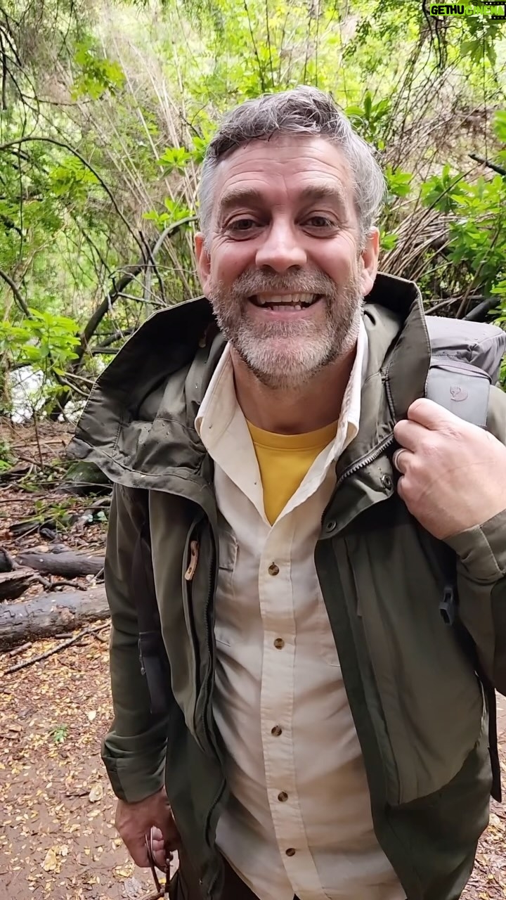 Felipe Braun - 2.8K Likes - Caminando por el Parque Tricahue nos encontramos al Tata, un Coihue de unos 600 años que nos recibió a la orilla del río donde nació aproximadamente al mismo tiempo en que Cristóbal Colón llegaba por primera vez a América.
¿Increíble no? ¿Y ustedes han visitado algún árbol tan antiguo?
Los leo!!!
@lapesebrera_delmaule
.
.
.
#sobrelatierra #canal13c #felipebraun #trekkingchile #naturalezachile #maule