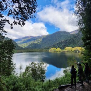 Felipe Braun Instagram - Sobre la Tierra hoy a las 15.30hrs!! 
No se pierdan este lindo capítulo que hicimos en el @parquefutangue junto a @cotedelafuente1 y @leoprieto , está muy interesante!!!
Pudimos conversar sobre sus proyectos, sostenibilidad, ciencia y muchísimo más!
¿Ya lo vieron? Los leo!!
.
.
.
#sobrelatierra #naturalezachilena #surdechile #futangue #parquefutangue #trekkingchile