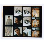 Felix Mallard