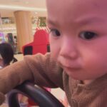 Fendy Chow
