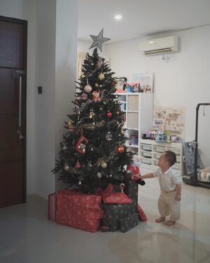 Fendy Chow Instagram - Merry christmas from us 🎅🏻 🎄 

Pertama kalinya avery kenalan sama santa, bantuin decor pohon natal dan dapet kado banyak banget dari santa ❤️

Have a blessed christmas everyone! 😇