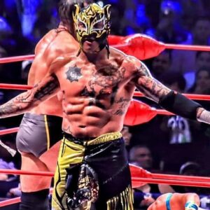 Fénix Instagram - Ayer por la noche fue una locura, una total locura, GRACIAS MÉXICO 🇲🇽 
Me duele decir que tenía algo de tiempo que no sentía lo que ayer volví a sentir, volví a vivir el amor y la pasión por mi trabajo, desde que desperté hasta que termino el día. 
No importa quien se ponga en medio del camino, no importa si mi nombre no es el mismo, o tiene que cambiar para lucharle a mi gente. Tal ves podrán controlar eso, pero no podrán controlar el amor y la pasión que tenemos por la lucha libre y por nuestros aficionados, y mucho menos podrán controlar el amor y apoyo de nuestros aficionados. Gracias los amo ❤️
The Death Triangle se hizo presente en la Catedral de la lucha libre, Los Lucha Brothers regresaron al @cmll_mx , The MexaKing o mejor dicho The King está de vuelta! 

Gracias @cmll_mx Gracias @arenamexico_oficial 
#Animo #MexaKing #TheKing