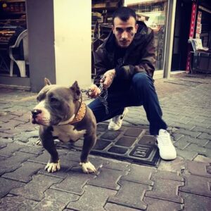 Ferit Yanık Instagram - 🐾