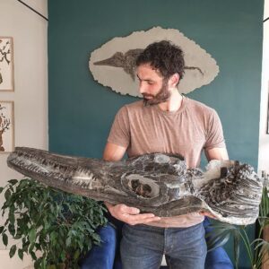 Fiann Smithwick Instagram - Just cradling a baby ichthyosaur skull. 

This is the biggest skull I've found so far on the Jurassic Coast, and although it's pretty massive, it's only a juvenile of its species, Temnodontosaurus platyodon. 

The biggest adults of this species had skulls that could get up to 2 metres long. Not sure I could cradle one of those. 

#fossil #fossils #art #geology #palaeontology #paleontology #paleo #curiosity #ancient #history #collect #collection #animal #animals #evolution #science #museum #jewel #collecting #treasure #jaw #jaws #tooth #teeth #rare #dinosaur #age #dinosaurs #ichthyosaur #bones
