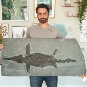 Fiann Smithwick Instagram - Here's the ichthyosaur I posted a video of yesterday but with me for scale! This ichthyosaur was a juvenile when it died - it had only reached about half the size of a fully grown adult. 
🐬🦖🐬
I've found several complete juveniles of this species, but I've only ever found one fully grown adult. That one is still in the process of being prepped but will be about 6 feet long when finished. 
#fossil #fossils #art #geology #palaeontology #paleontology #paleo #curiosity #ancient #history #collect #collection #animal #animals #evolution #science #museum #jewel #collecting #treasure #juvenile #jaws #marinereptile #reptile #rare #dinosaur #age #dinosaurs #ichthyosaur #bones