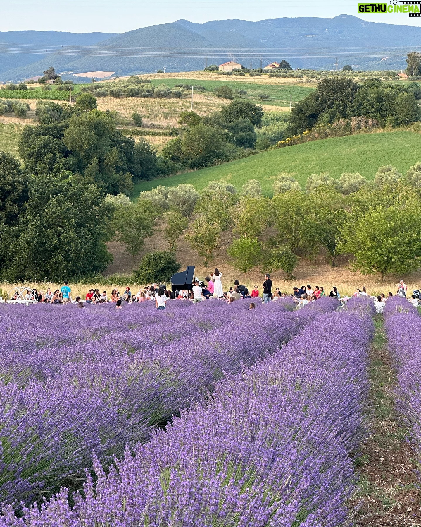 Filippa Lagerbäck - 21.8K Likes - Un concerto immersi nella natura, in un meraviglioso campo di lavanda della Toscana, viaggiando con la musica di @emiliano.toso che ci regala sempre e solo buone vibrazioni. Grazie di 💜🐝🌾