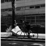 Filippo Scotti