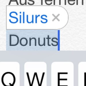 Florentin Will Instagram - Huch, da hätte ich mich doch fast verschrieben. Danke! #silurs #autocorrect #habtihreigentlicheinenschaden