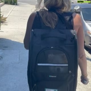 Fortune Feimster - 14.7K Likes - Jax and I have become those lesbians. What do you think of Biggie’s new backpack?