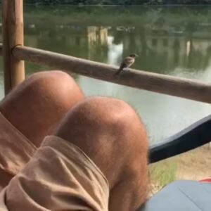 Francesco Serpico Instagram - il fatto che parlo con gli animali non vuol dire necessariamente che gli stia simpatico