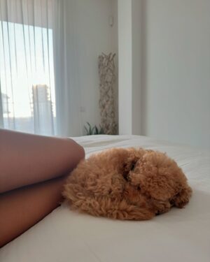 Francisca Cerqueira Gomes Instagram - Living in Simba’s world! 🦁
New member of the fam