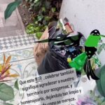 Francisca Imboden