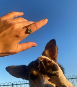Funda İlhan Instagram - 🩵… Ağustos … ☀️ … 🎱🐾