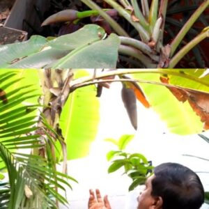Actor G. Gnanasambandam HD Instagram Photos and Wallpapers March 2024