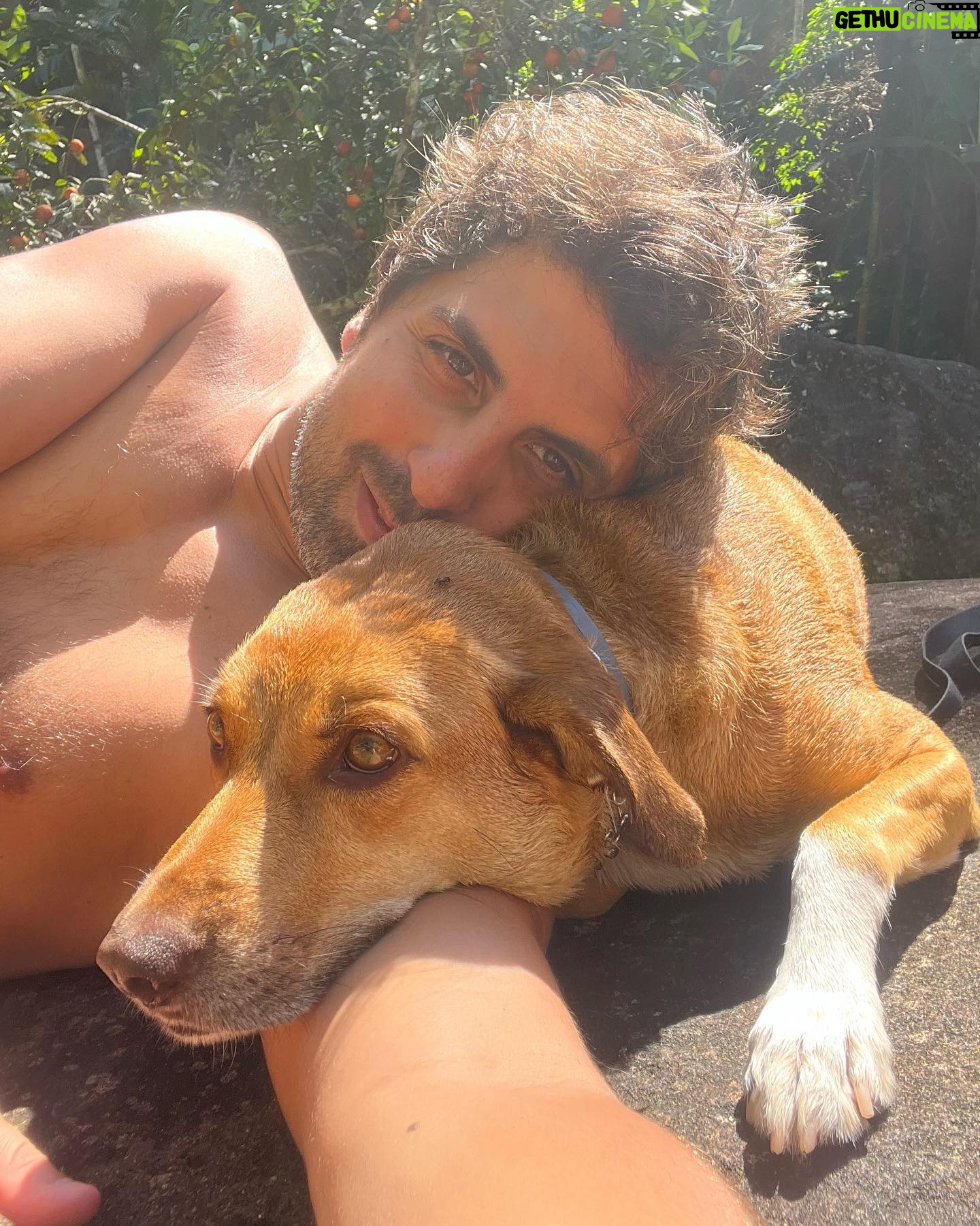 Gabriel Louchard - 1K Likes - Me permita o trocadilho.
AliĆ”s, antes me permita usar a palavra ātrocadilhoā em 2023.
Mas Ć© amor pra cachorro!
#simba