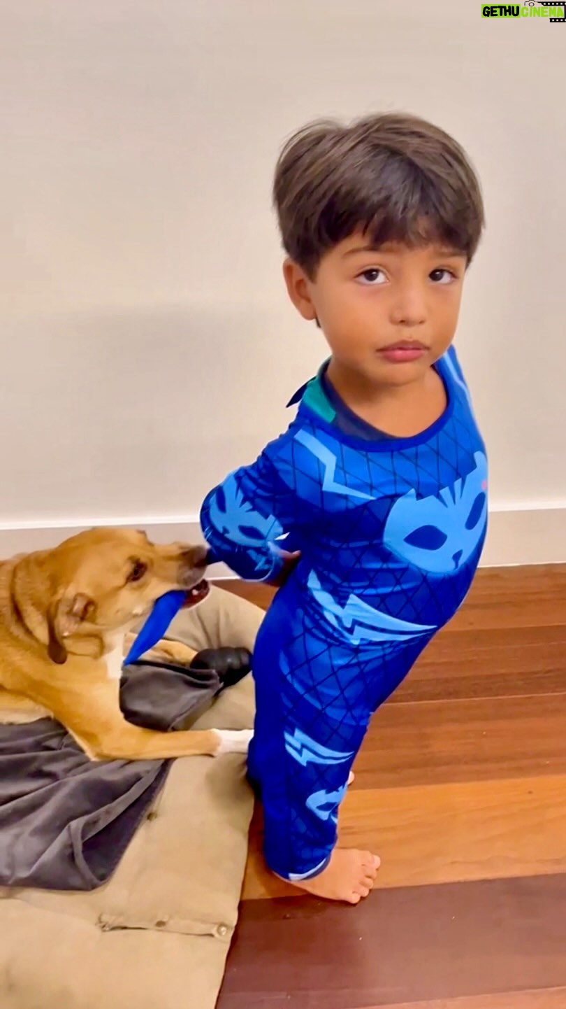 Gabriel Louchard - 1.7K Likes - Apresento neste breve vídeo 3 personagens: Simba, o menino gato e o provocador. 🤣 #paidemenino #paidepet