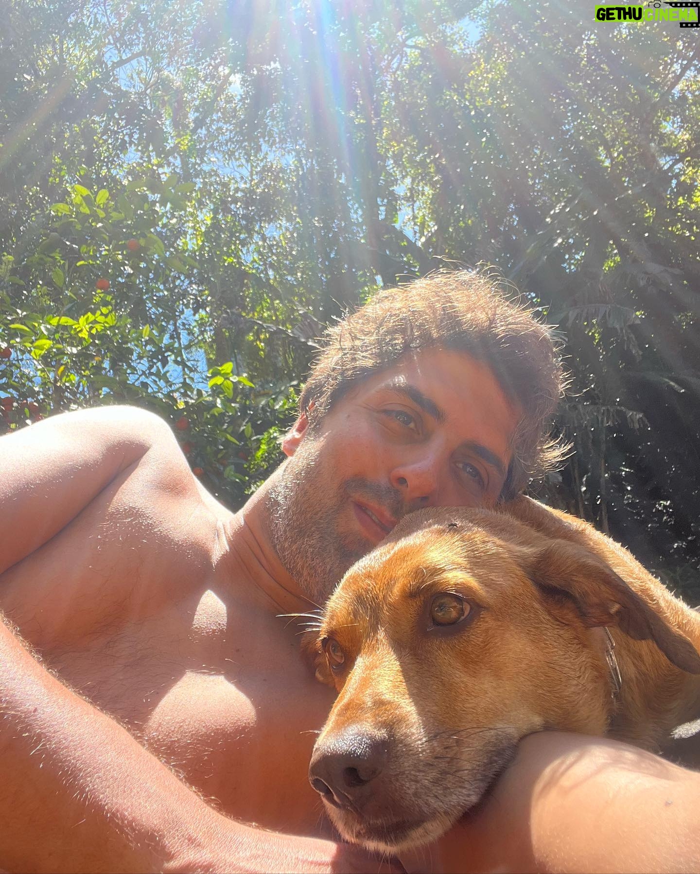 Gabriel Louchard - 1K Likes - Me permita o trocadilho.
AliĆ”s, antes me permita usar a palavra ātrocadilhoā em 2023.
Mas Ć© amor pra cachorro!
#simba