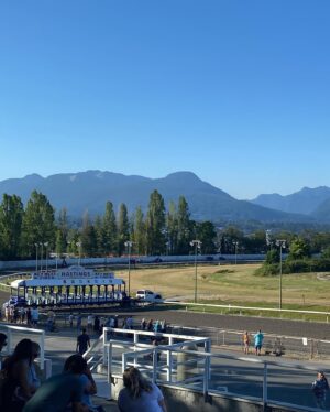 Gabriel Luna Instagram - Bluebird skies and the ponies were fast. Good day. @hastings_racecourse 🐎