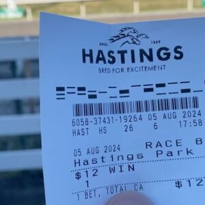 Gabriel Luna Instagram - Bluebird skies and the ponies were fast. Good day. @hastings_racecourse 🐎