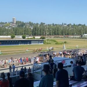 Gabriel Luna Instagram - Bluebird skies and the ponies were fast. Good day. @hastings_racecourse 🐎