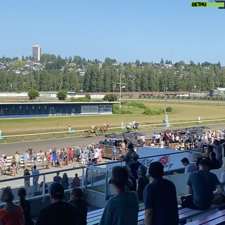 Gabriel Luna - 4.6K Likes - Bluebird skies and the ponies were fast. Good day. @hastings_racecourse 🐎