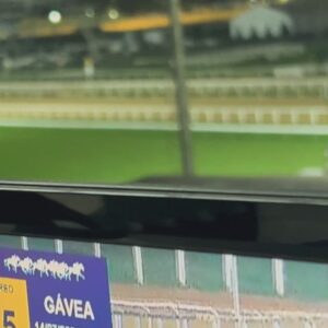 Gabriela Barros Instagram - Ô moço, por favor, me vê uma batida de côco com direito a beijo na bochecha, estreia de espectáculo, misturada com samba do trabalhador, uma pitada de corrida de cavalos no Jockey Clube, mais um sambinha de rua e tudo envolto numa dança de panos! Brigadaaaa valeu!🍹