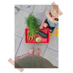 Gabriela Lašková Instagram - • Víkend ! 🎪

Záhony, skleník, základ pro bazén, pouť, cukrová vata, papírové růže, dětská oslava, záhony, další kousek zahrady, zase záhony, grilování, bazének, Hugo, kombajn na poli a suchá tráva.

#víkend #malevelkeradosti #klucimoji #ladolcevita