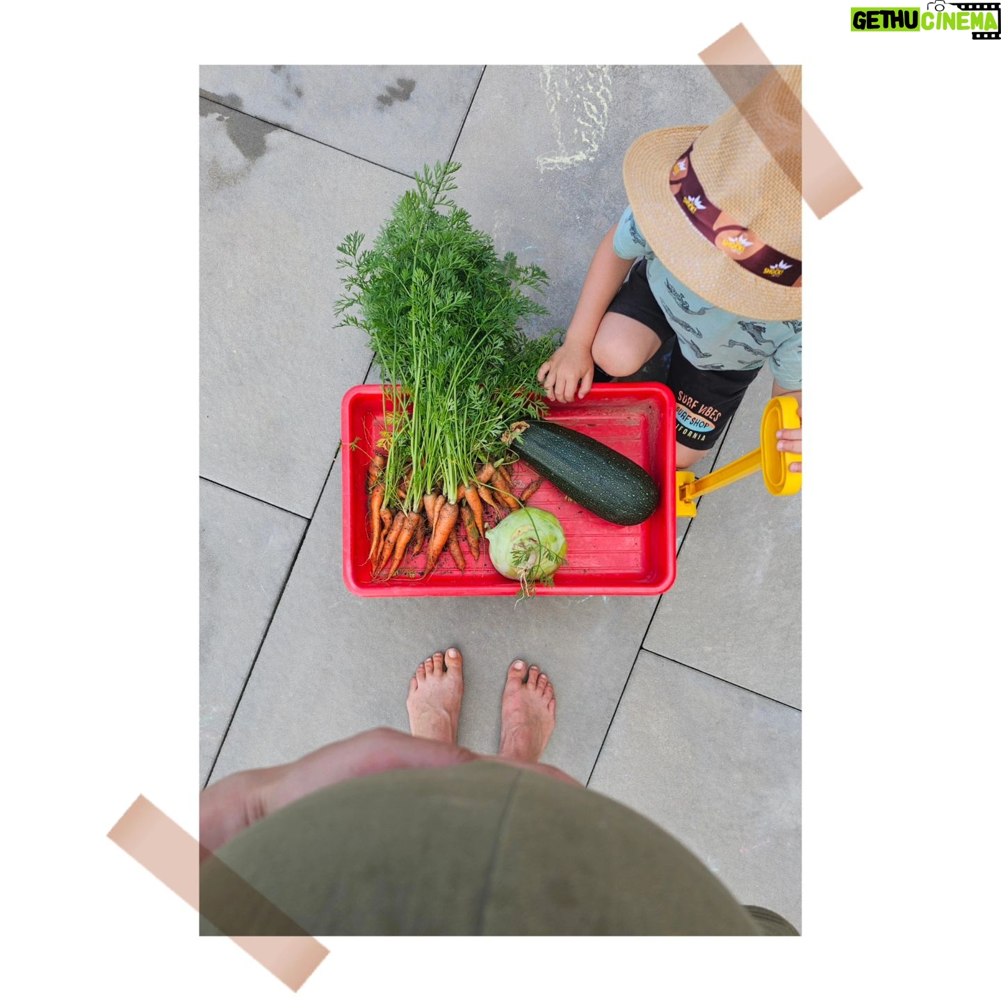 Gabriela Lašková - 3 Likes - • Víkend ! 🎪
Záhony, skleník, základ pro bazén, pouť, cukrová vata, papírové růže, dětská oslava, záhony, další kousek zahrady, zase záhony, grilování, bazének, Hugo, kombajn na poli a suchá tráva.
#víkend #malevelkeradosti #klucimoji #ladolcevita