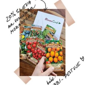 Gabriela Lašková Instagram - • Druhá sezóna začíná! 🌱

Letos jsem se rozhodla předpěstovat si všechno sama ze semínek @moravoseedoriginal . Teď je správný čas si je pořídit. Domluvila jsem vám slevu 20% na hobby balení. Slevový kód GABI-PESTUJE platí na e-shopu www.MoravoSeed.cz do 15.4.2024.

Minulý rok jsem bojovala se škůdci, načasováním i plísní, ale úroda byla i tak nádherná. Nečekám, že to všechno půjde letos lehce, pořád se všechno teprve učím, ale těším se na to! Všechno budu dokumentovat - snad zdárně - až do konce, tedy do sklizně! 
 
🫑 V únoru jsem začala s předpěstováním paprik. 

🍅 S březnem jsem se pustila do předpěstování různých druhů salátů, kedluben, brokolice, rajčat, řapíkatého celeru a petrželky. 

🥬 Ve skleníku mám už vzrostlé malé saláty, které jsem si předpěstovala během zimy. 

🥬 Přímo do skleníku jsem zasadila saláty, ředkvičky a kedlubny. 

🫛 Do vyvýšených záhonů jsem už netrpělivě zasadila ředkvičky a hrášek - minulý rok mi to vyšlo, tak to zkouším i letos - taky jsem vyzkoušela podle instagramových zahradníků zasadit ředkvičku s mrkví, tak uvidím, jak tento pokus vyjde. 

🥕 Na konci března/ začátek dubna - až bude políčko budu sázet mrkev, petržel, hrách a cibuli.

🥒 V dubnu se pustím do předpěstování cuket, dýní, hadovek, melounu a určitě přidám kadeřávek, saláty, další ředkvičky, pórek nebo kedlubny.

Nejkrásnější práci na světě zdar! Škůdcům zmar.

@Moravoseedoriginal #spolupráce #druhásezóna #sezónazačíná #seminka #zahradniceni #pestovani #zahrada #pěstovánízeleniny #gardening #seeds #odrudy_moravoseed
