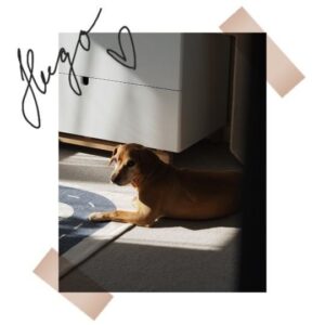 Gabriela Lašková Instagram - • Hugo, 

vím, že tě čeká zase další změna, další miminko, ale chceme, abys věděl, že ty budeš navždycky naše první miminko. Naše psí zlato. Byl jsi poslední stěně v poslední kleci a my hned věděli, že jiného nechceme. Není to s tebou vždycky jednoduchý, ale ani ty to nemáš pořád jednoduchý s námi. 

Máme tě rádi, útuláčku náš 🤍

#Hugo #nekupujadoptuj #psilaska