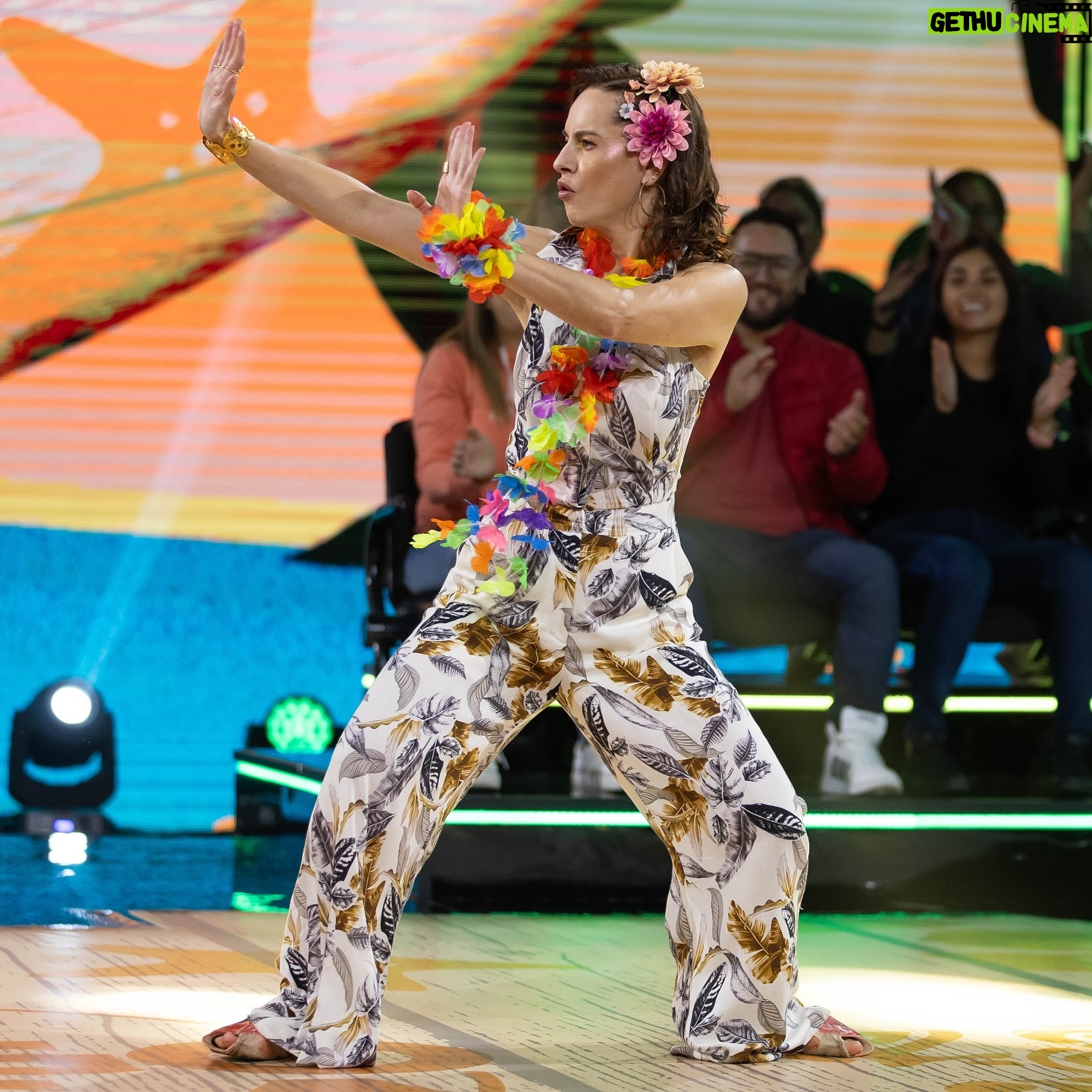 Gabriela Platas - 2.4K Likes - De vez en cuando una flor no le cae mal a nadie 🌺