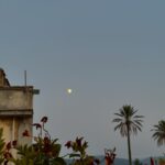 Gaia Gozzi