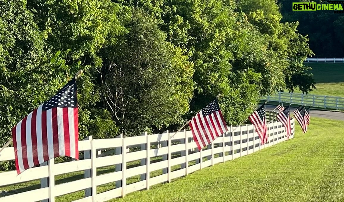 Gary Sinise - 5.3K Likes - Dear friends, wishing you all a very happy and blessed Independence Day today, and many thanks from this Grateful American to all who are serving at home and abroad, the many veterans who have served our country defending and providing our precious freedom, and our first responders keeping communities safe. God Bless America. 🇺🇸