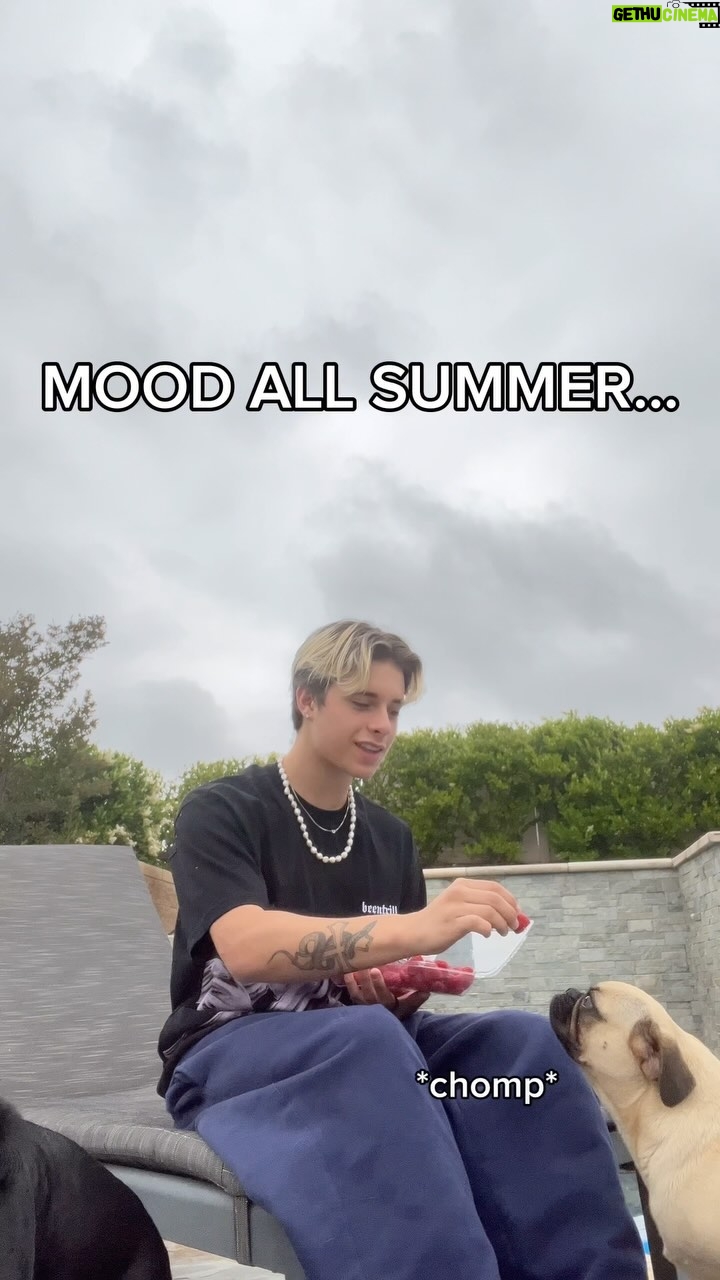 Gavin Magnus - 31K Likes - Entering Messy era... 🤷🏻♂️
2,000 comments I'll drop it 😘
#newmusic #explore #summer #song #music #summervibes